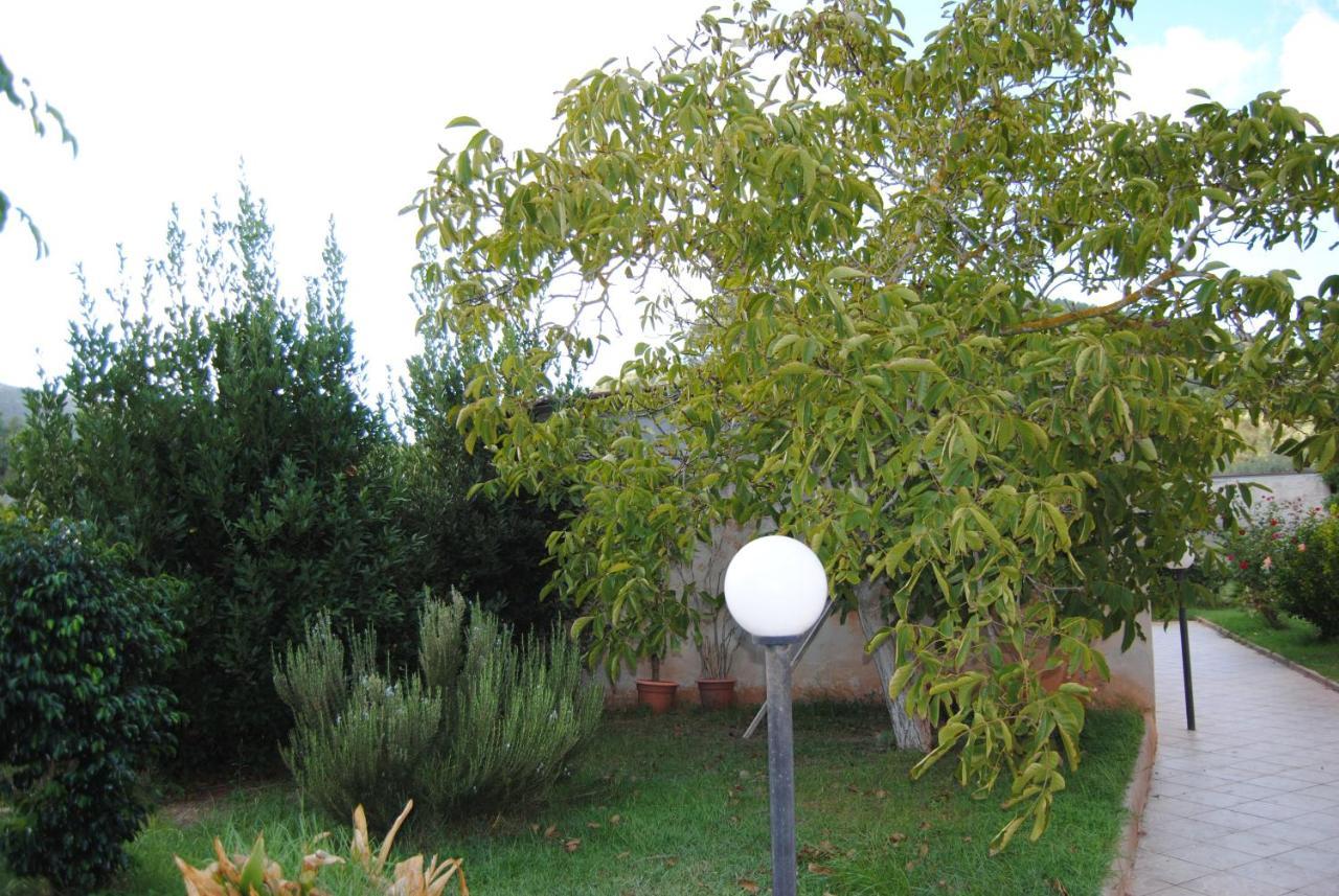 B&B Arenosu25 Αλγκέρο Εξωτερικό φωτογραφία