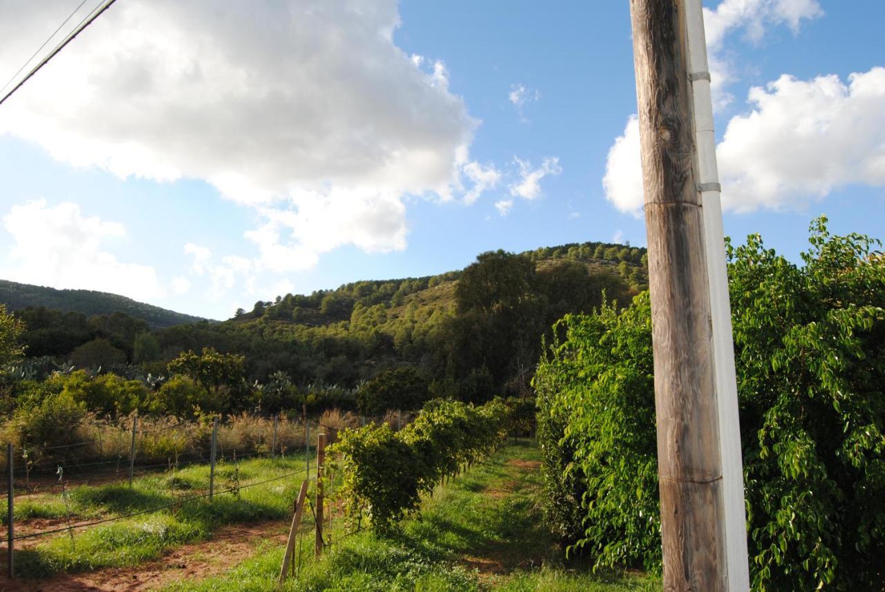 B&B Arenosu25 Αλγκέρο Εξωτερικό φωτογραφία